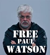 You are currently viewing Monsieur le Président de la République, protégez Paul Watson en exigeant du Japon qu’il renonce à sa procédure d’extradition